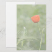 Mohn Briefpapier (Vorne/Hinten)
