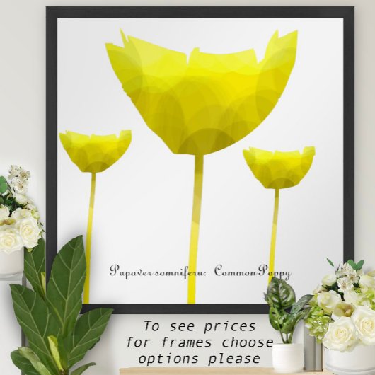 Mohn-Druck Poster