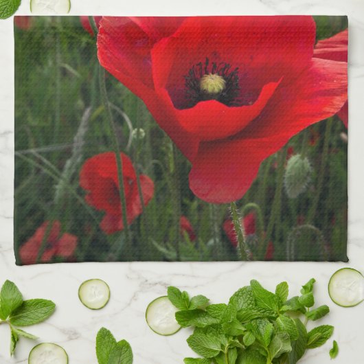 Mohn-Field-Kitchenette Handtuch/Teetuch Geschirrtuch (Gefaltet)