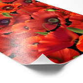 Mohn Fotodruck (Ecke)