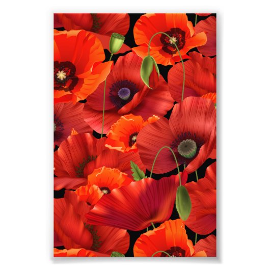 Mohn Fotodruck (Vorne)