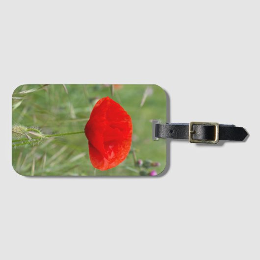 Mohn Gepäckanhänger (Vorderseite (Horizontal))