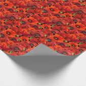 Mohn Geschenkpapier (Ecke)