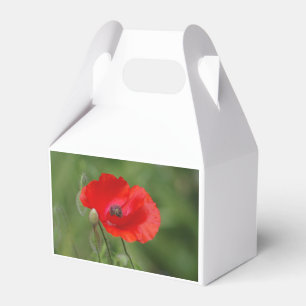 Mohn Geschenkschachtel