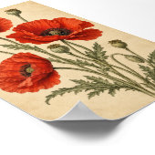 Mohn Herbarium Kunst Druck Poster (Ecke)