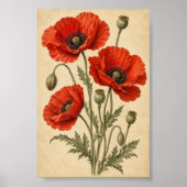 Mohn Herbarium Kunst Druck Poster (Vorne)