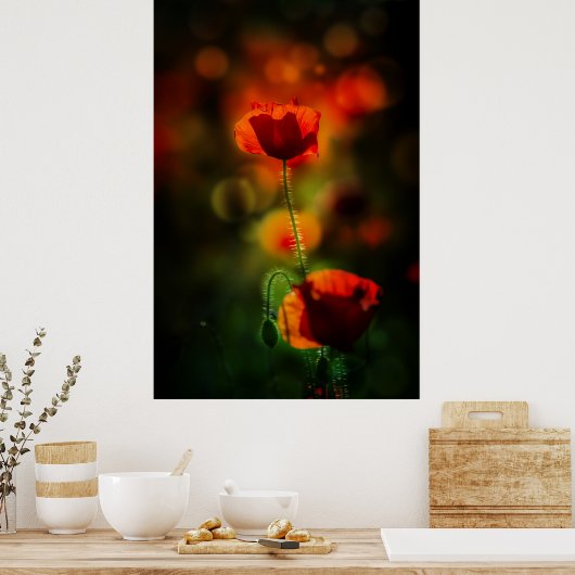 Mohn im Abend Poster (Küche)