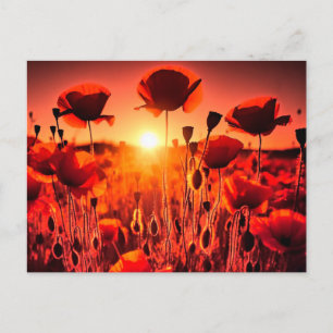 Mohn im Gegenlicht Feiertagspostkarte