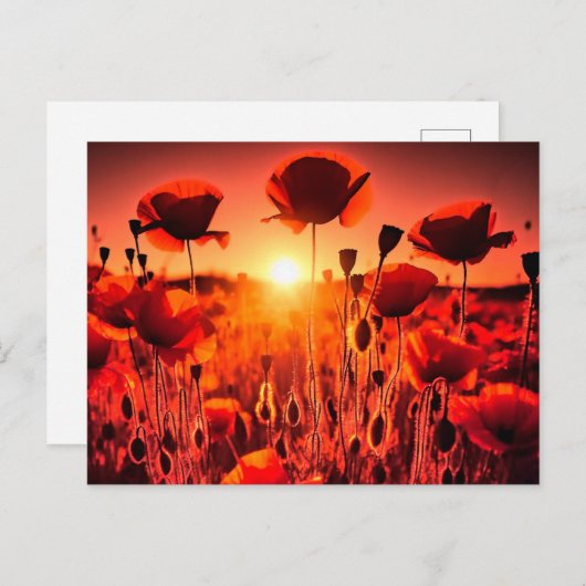 Mohn im Gegenlicht Feiertagspostkarte (Vorne/Hinten)