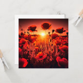 Mohn im Gegenlicht Karte (Vorderseite/Rückseite Beispiel)