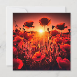 Mohn im Gegenlicht Karte