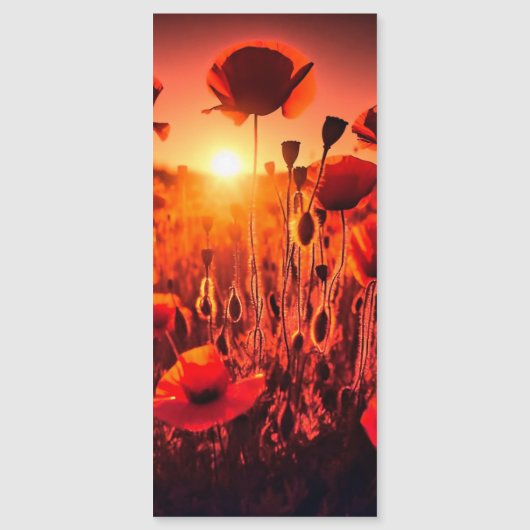 Mohn im Gegenlicht Magnetkarte (Vorderseite)