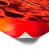 Mohn im Gegenlicht Poster (Ecke)