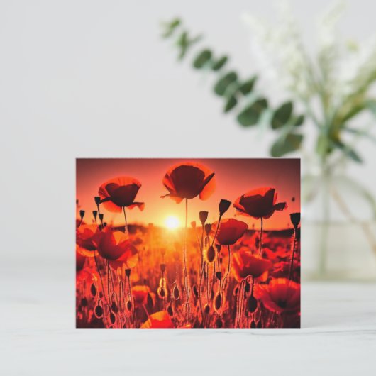 Mohn im Gegenlicht Postkarte (Stehend Vorderseite)