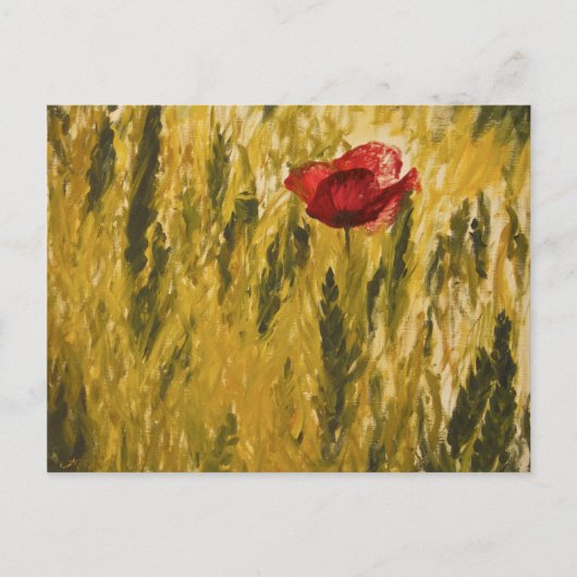 Mohn im Weizenfeld Postkarte (Vorderseite)