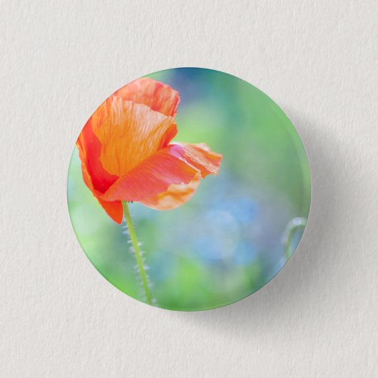 Mohn im Wind Button (Vorderseite)
