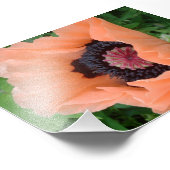 Mohn in Mandarine 2 Fotodruck (Ecke)