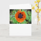 Mohn, Karte (Gelbe Blume)