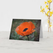 Mohn, Karte (Gelbe Blume)