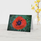 Mohn, Karte (Gelbe Blume)