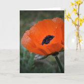Mohn, Karte (Gelbe Blume)