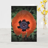Mohn, Karte (Gelbe Blume)