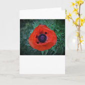 Mohn, Karte (Gelbe Blume)