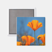 Mohn Magnet (Vorderseite/Rückseite)