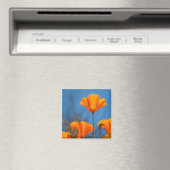 Mohn Magnet (In Situ (Geschirrspüler))