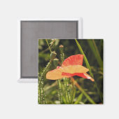 Mohn Magnet (Vorderseite/Rückseite)