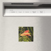 Mohn Magnet (In Situ (Geschirrspüler))