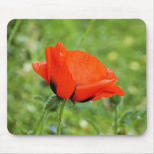 Mohn-Mauspad Mousepad