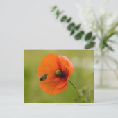 Mohn mit Biene Postkarte (Stehend Vorderseite)