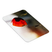 Mohn mit Spinne Magnet (Rechte Seite)