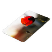 Mohn mit Spinne Magnet (Linke Seite)