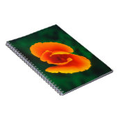 Mohn Notizblock (Rechte Seite)