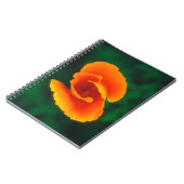 Mohn Notizblock (Linke Seite)