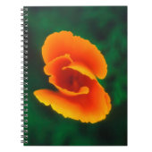 Mohn Notizblock (Vorderseite)