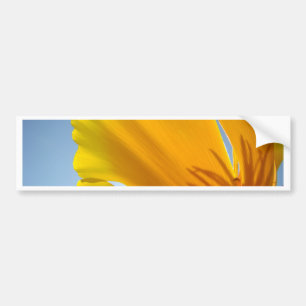 MOHN Orange Klatschmohn Blumen 13 Karten Geschenke Autoaufkleber