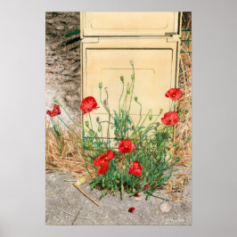 Mohn Poster