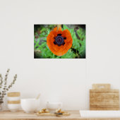 Mohn, Poster (Küche)