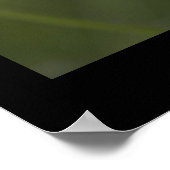 Mohn. Poster von cARTerART (Ecke)