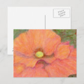 Mohn, Postkarte (Vorne/Hinten)