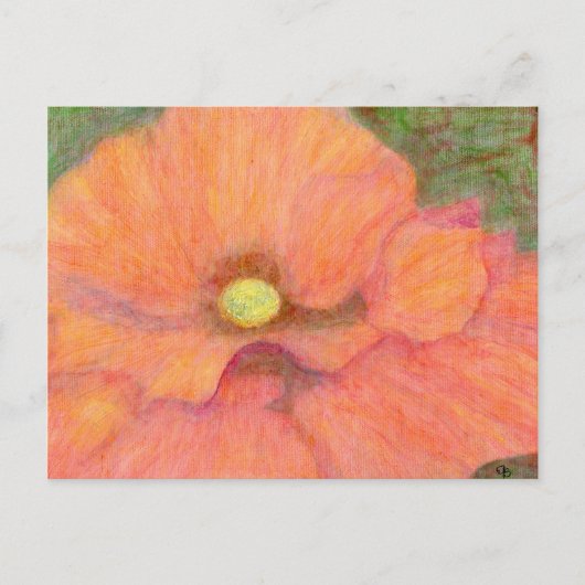 Mohn, Postkarte (Vorderseite)
