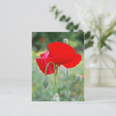 Mohn Postkarte (Stehend Vorderseite)