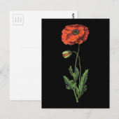 Mohn Postkarte (Vorne/Hinten)