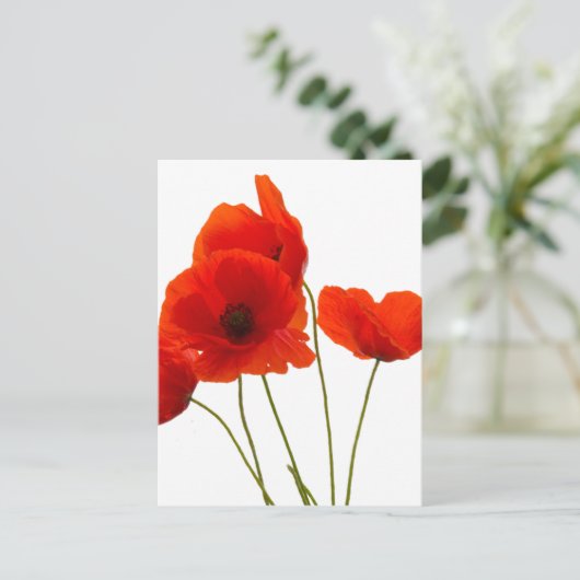Mohn Postkarte (Stehend Vorderseite)