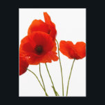 Mohn Postkarte<br><div class="desc">Dieses lustige, eigenartige und einzigartige Design sieht auf allen Küchen-Speiseprodukten in der Palette hervorragend aus. Alle Produkte des Sortiments sind vollständig anpassbar, sodass Sie das perfekte personalisierte Geschenk für Geburtstage, Jubiläen, Abschlüsse, Partys für den Ruhestand, Hochzeitsfeiern, Feiertage und alle anderen Meilensteine, die Sie sich vorstellen können, schaffen können. Wenn Sie...</div>