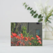 Mohn-Postkarte Postkarte (Stehend Vorderseite)