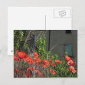 Mohn-Postkarte Postkarte (Vorne/Hinten)